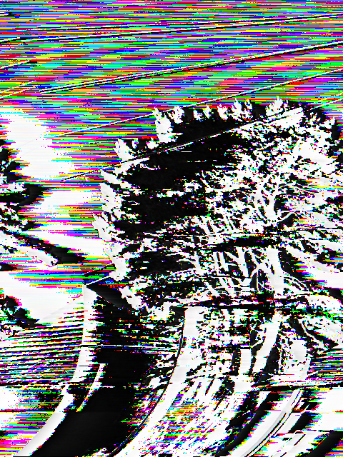 MVC-001F (Recorded to tape).bmp