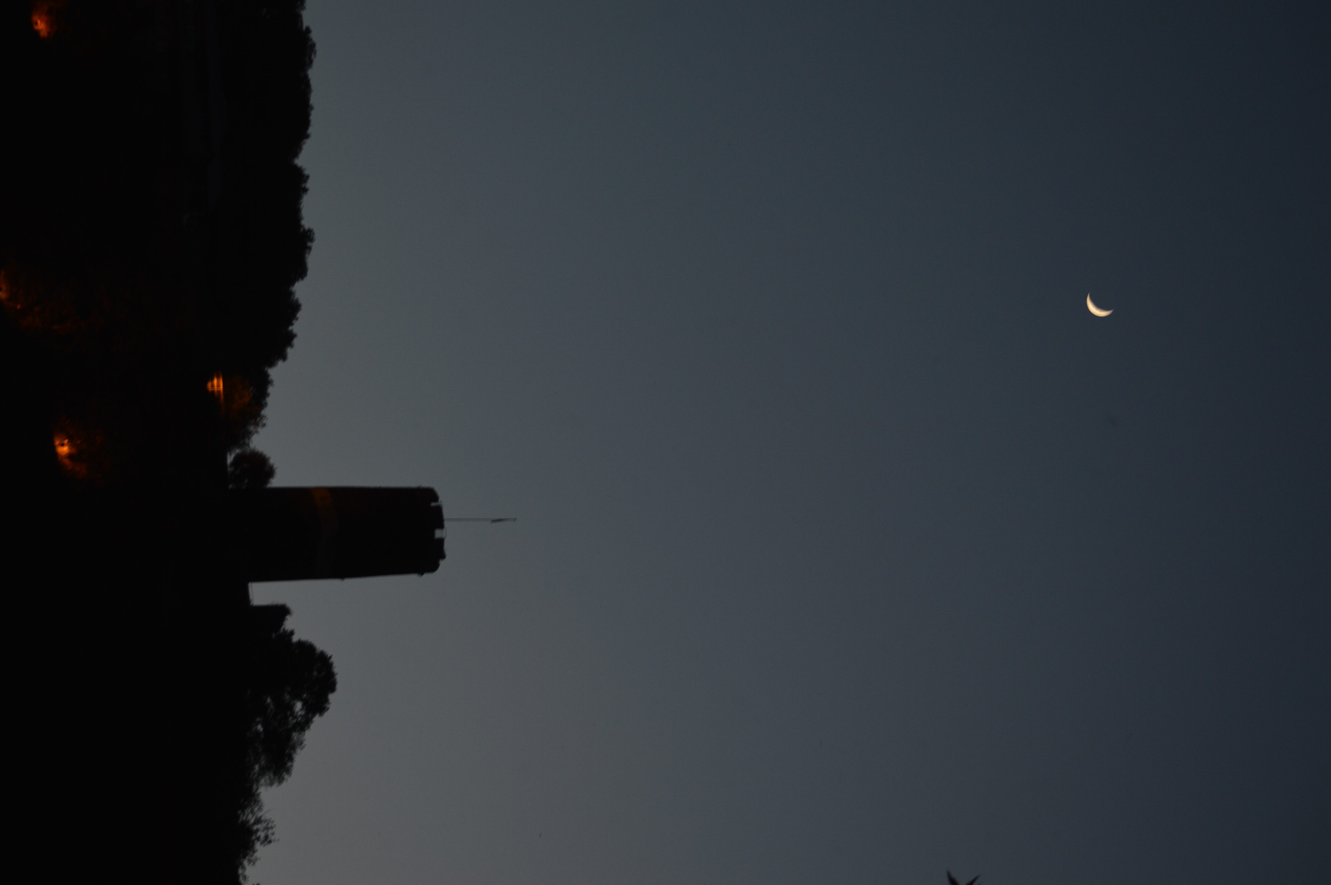 DSC_1334.JPG