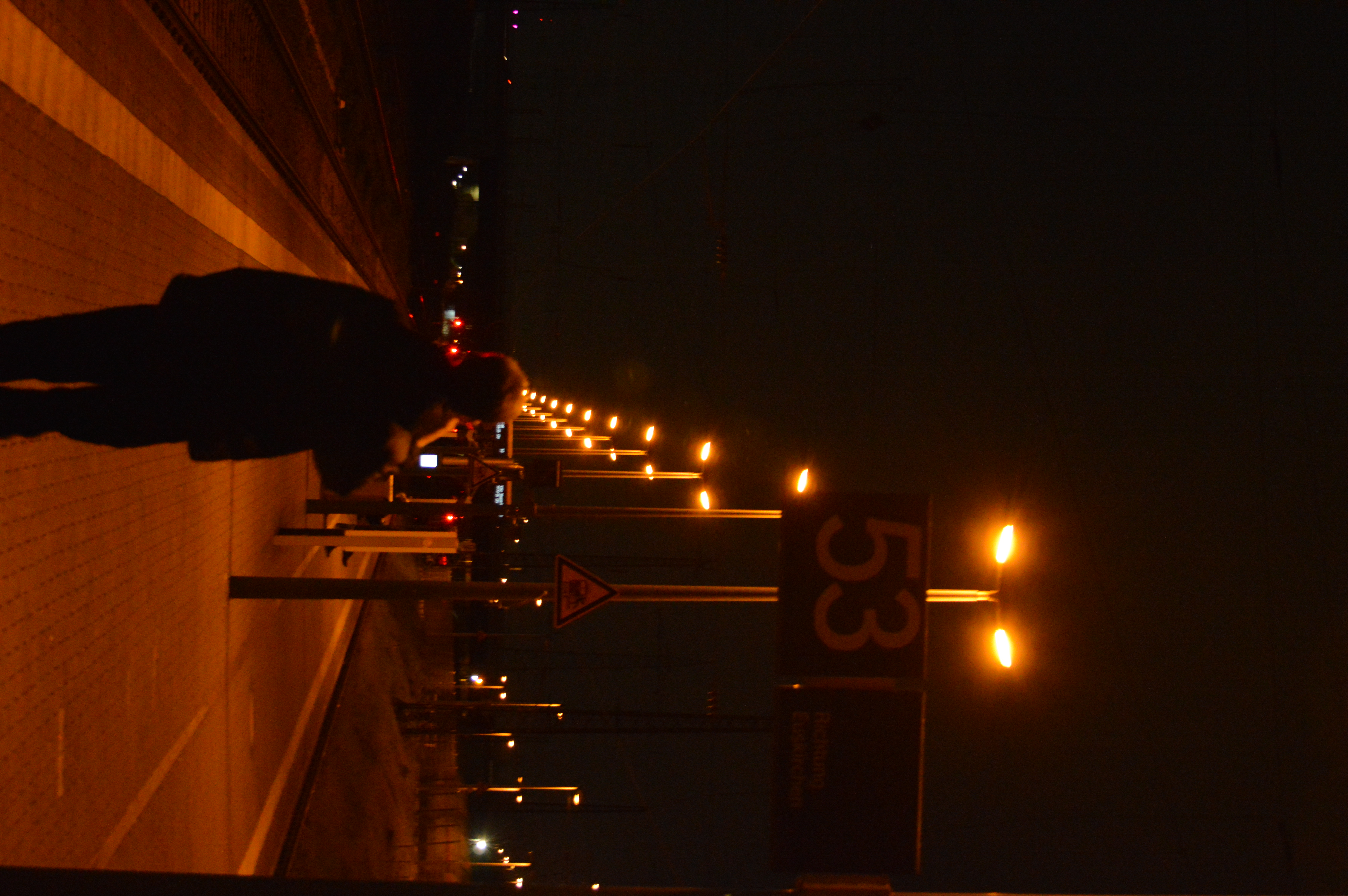 DSC_1602.JPG