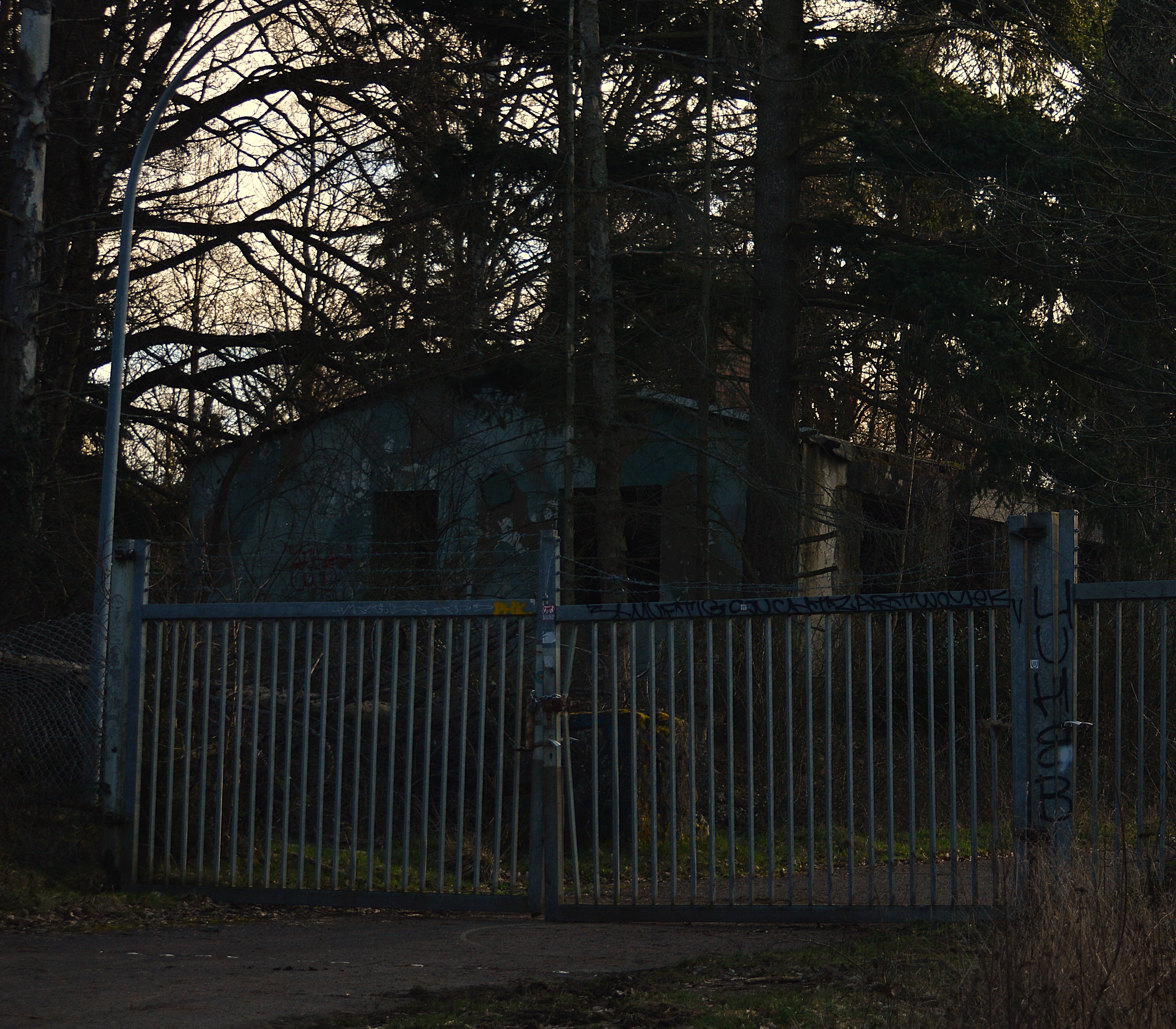 DSC_1660.JPG