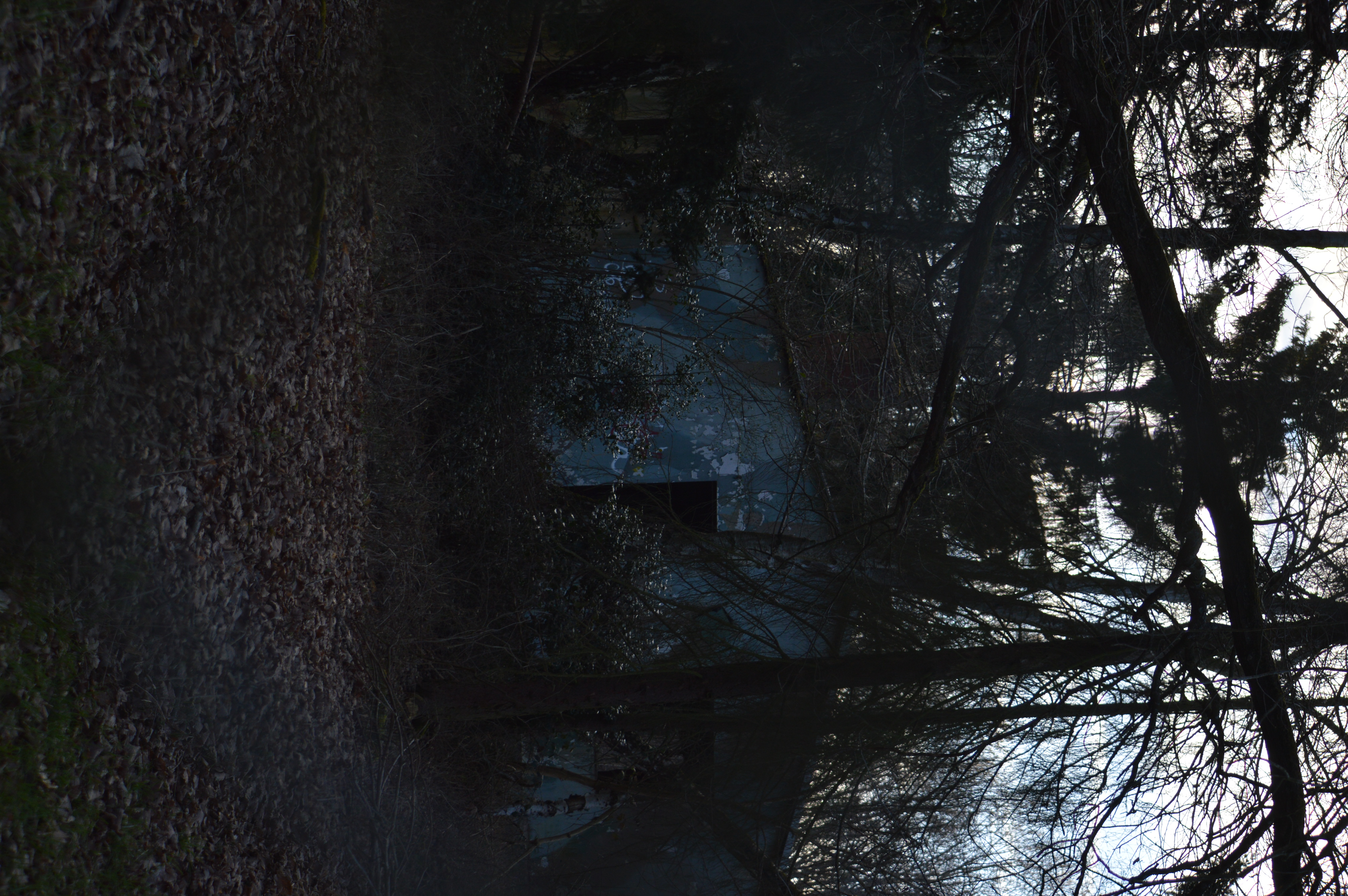 DSC_1664.JPG