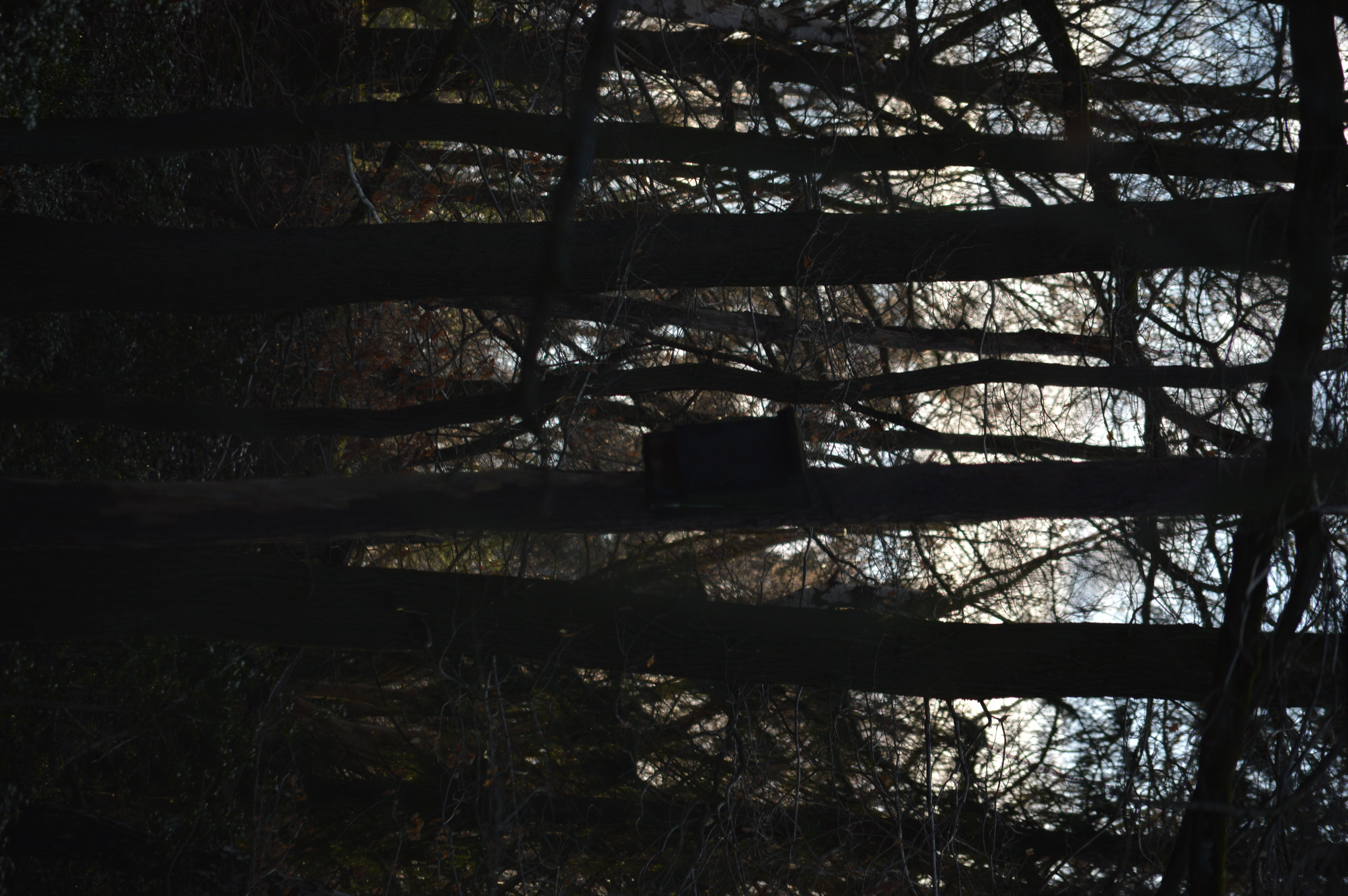 DSC_1665.JPG