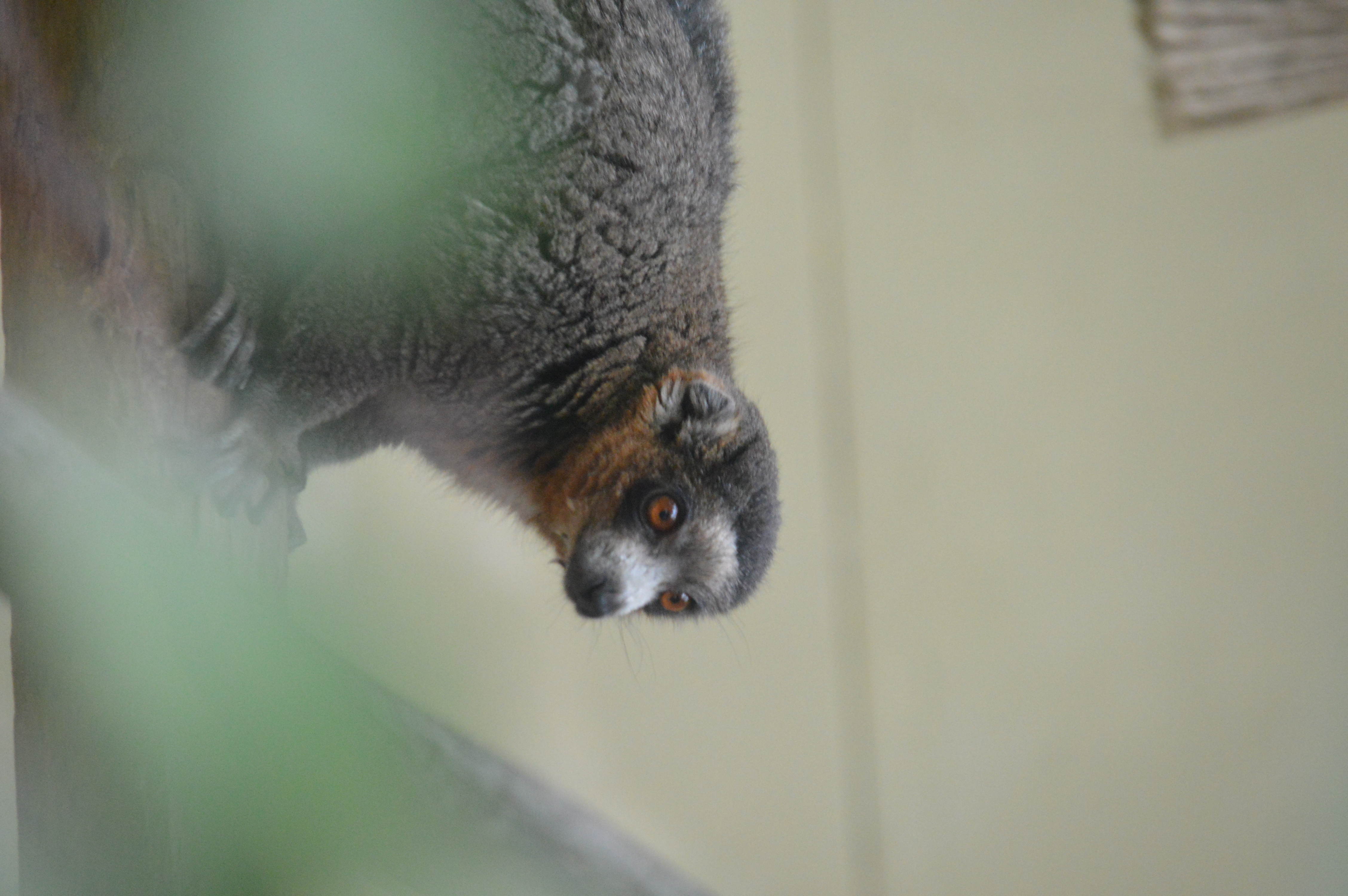 DSC_1817.JPG