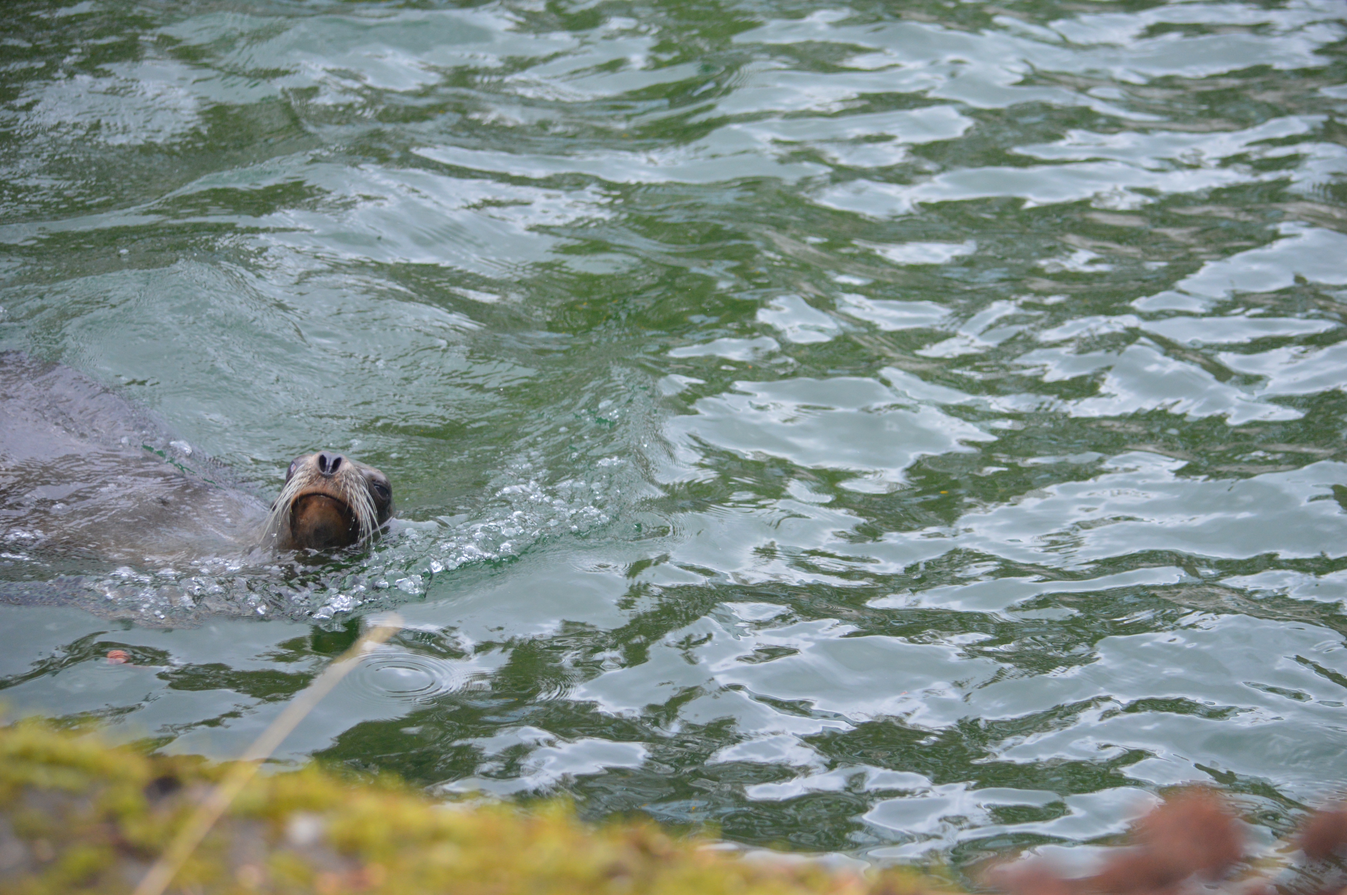 DSC_1828.JPG