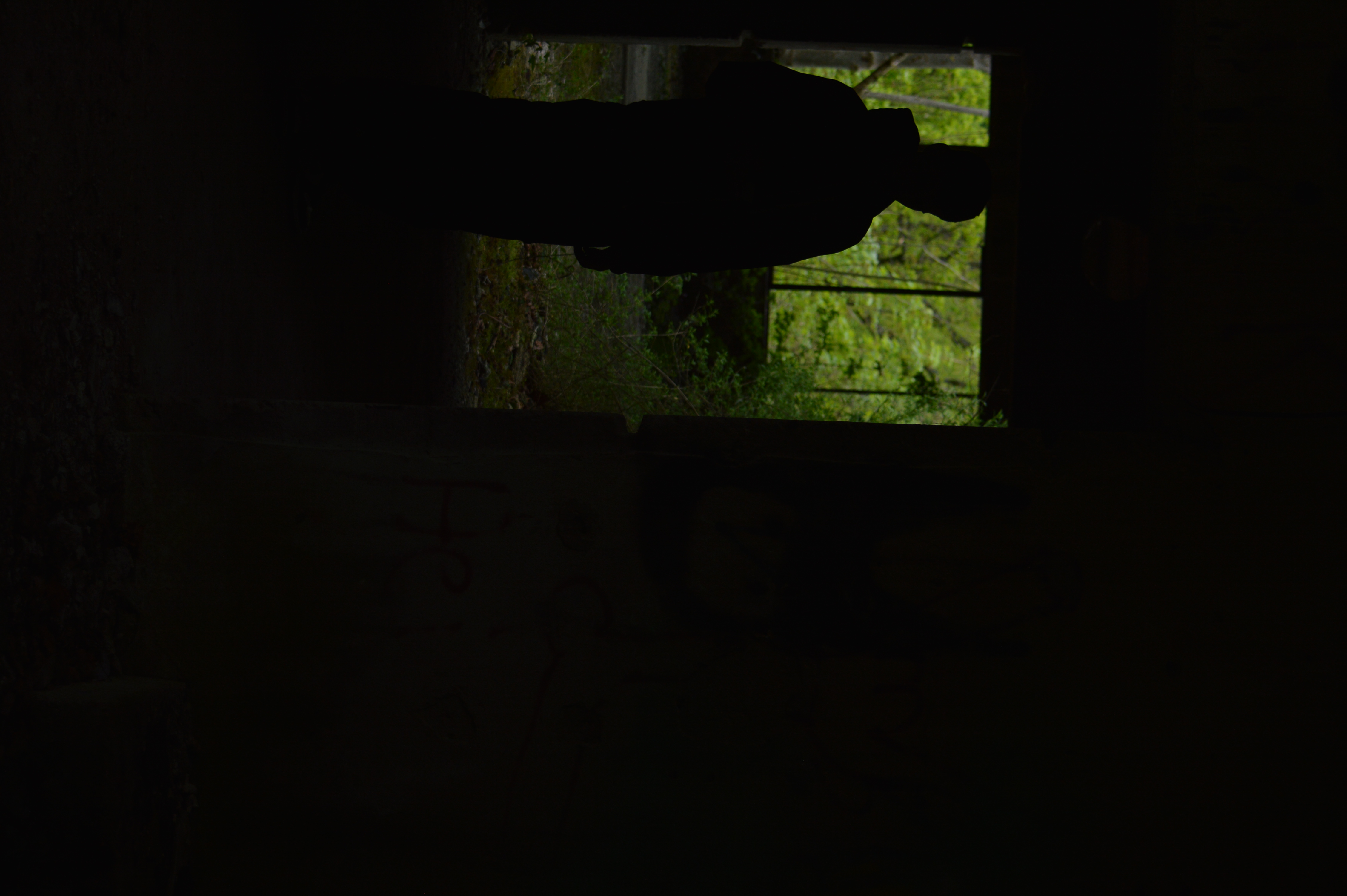DSC_1992.JPG
