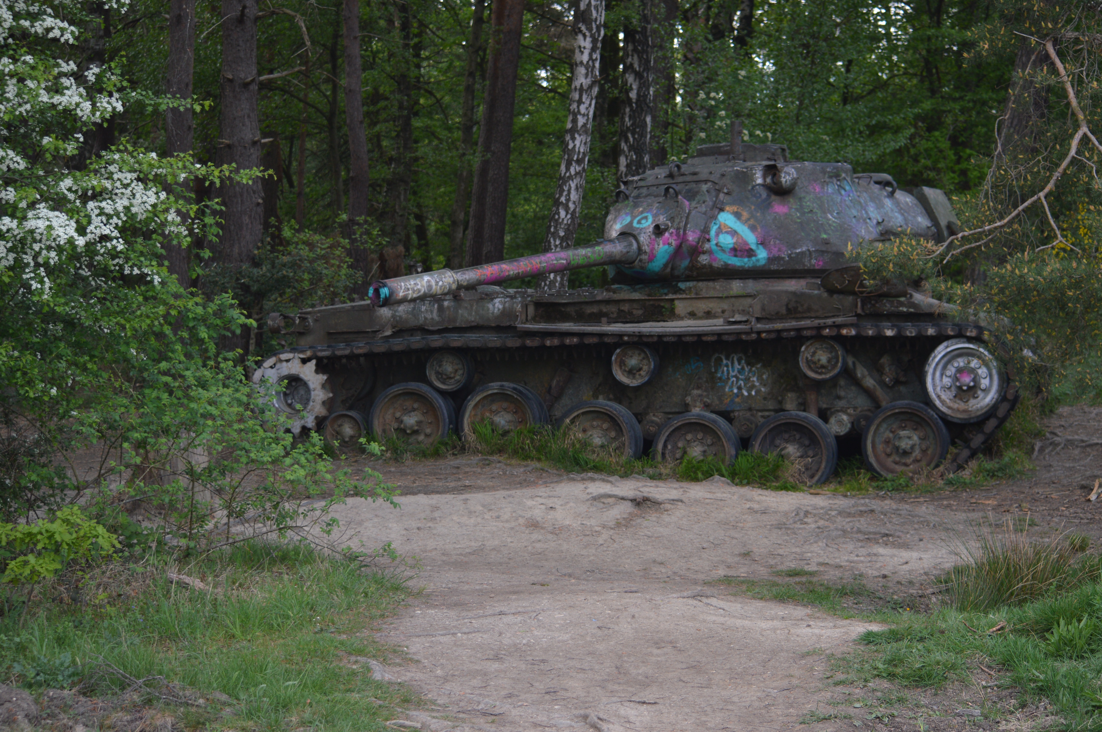 DSC_2054.JPG