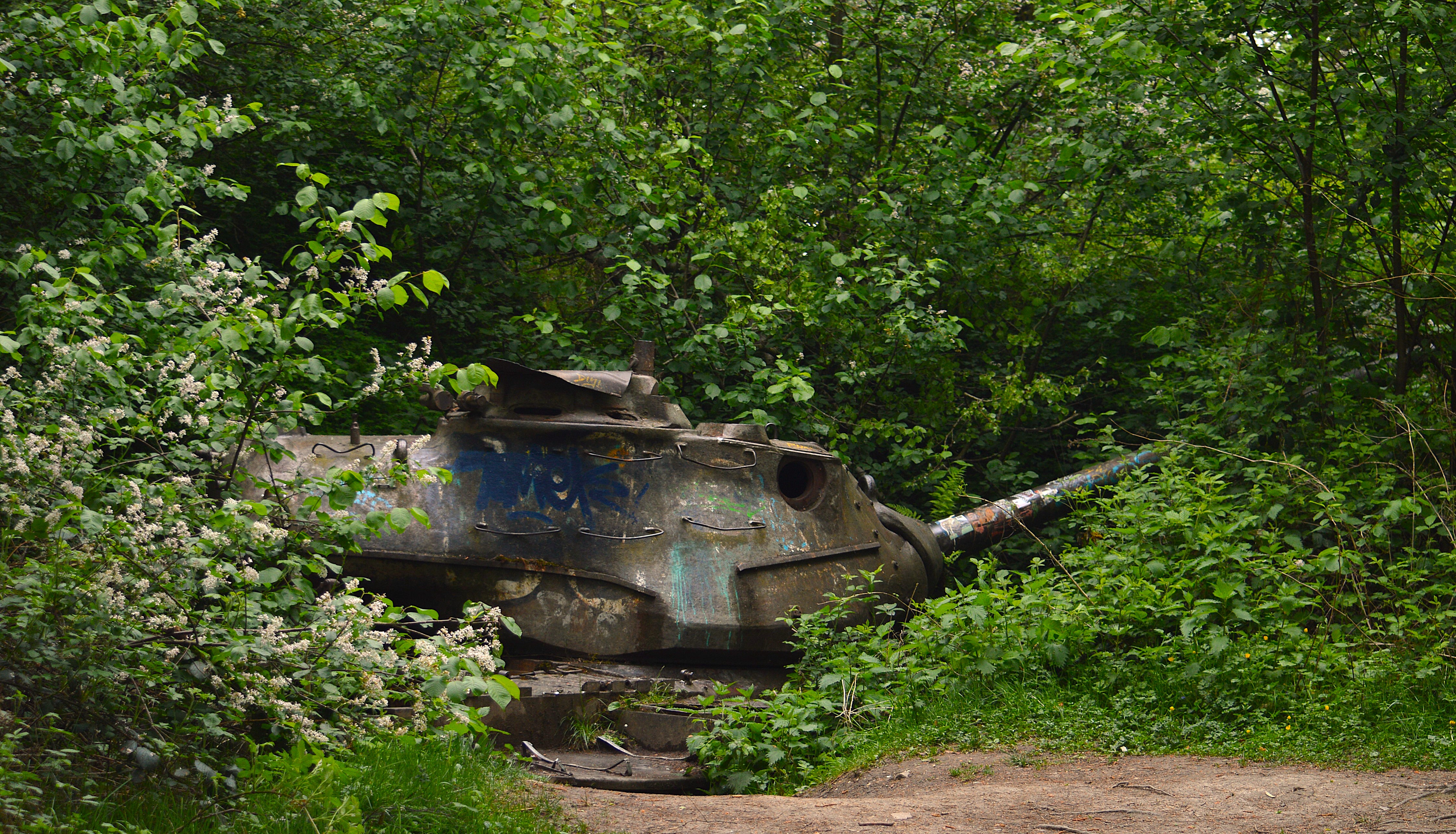DSC_2066 - Copy.JPG