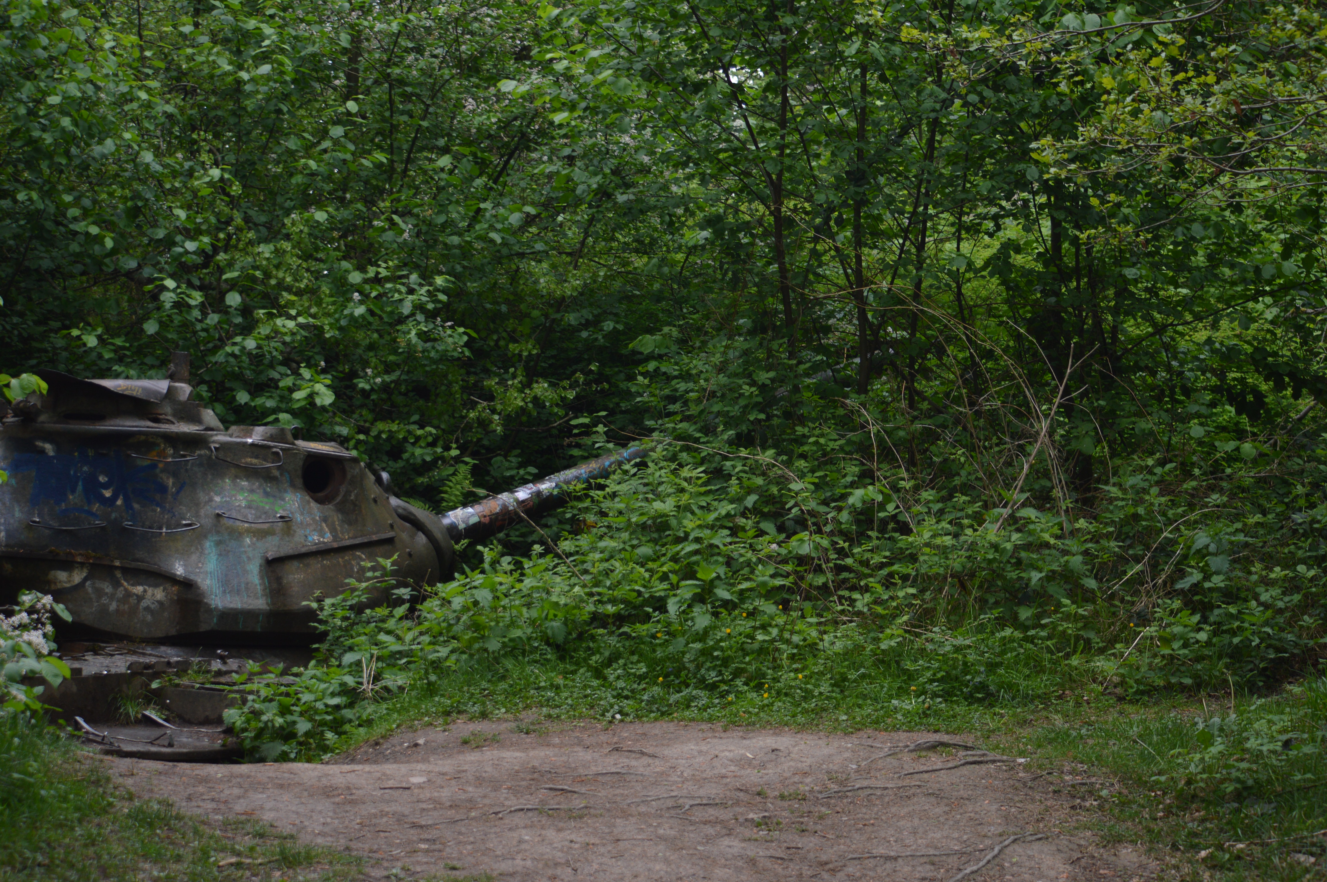 DSC_2067.JPG