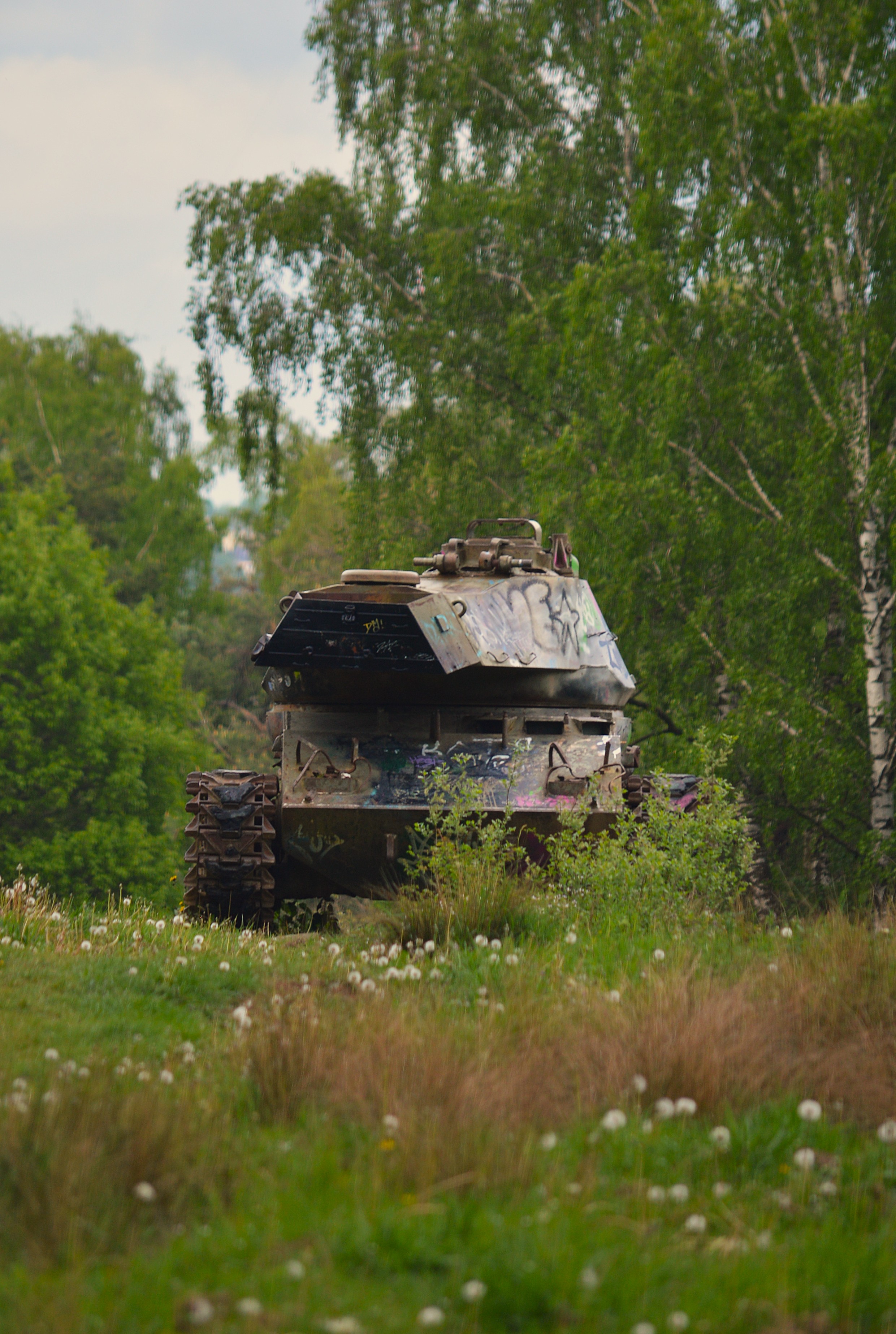 DSC_2070 - Copy.JPG