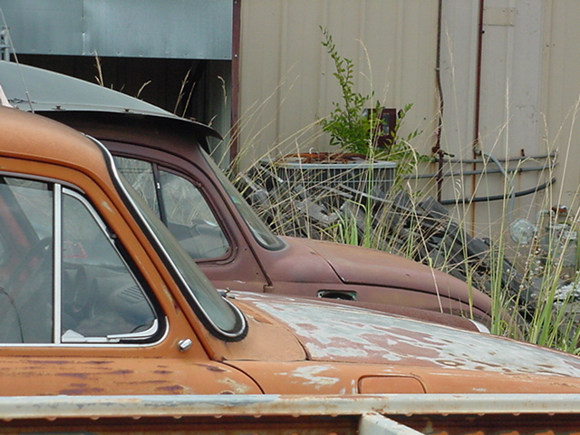 20250718-DSC05800.JPG