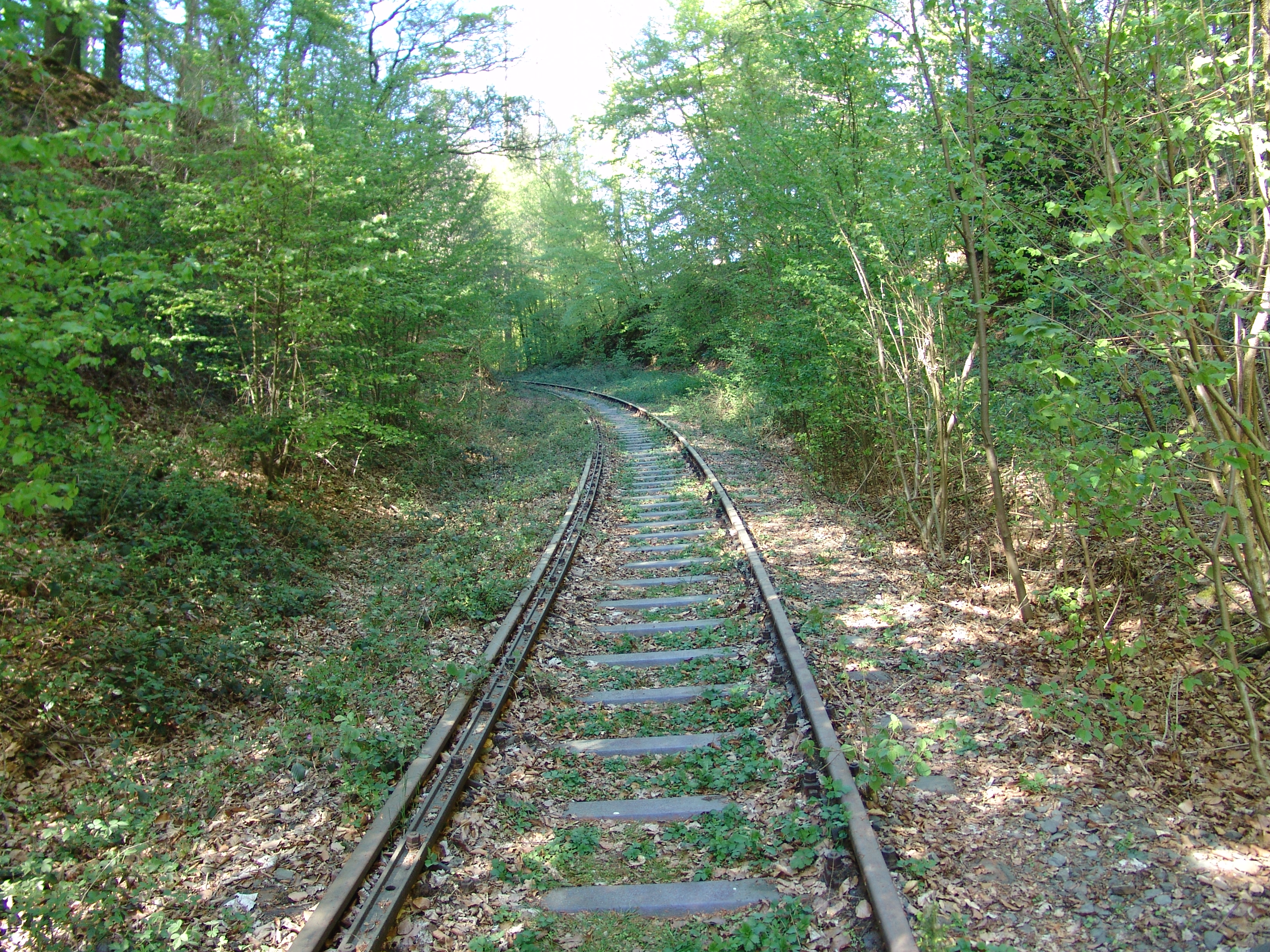 DSC00050.JPG