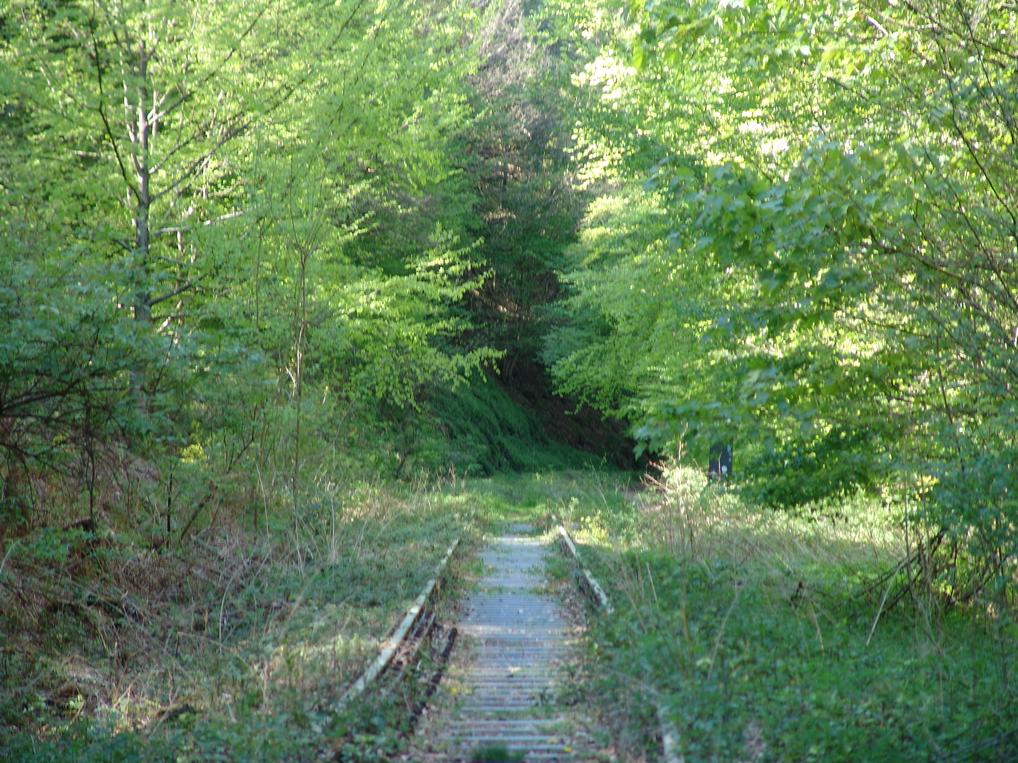 DSC00054.JPG