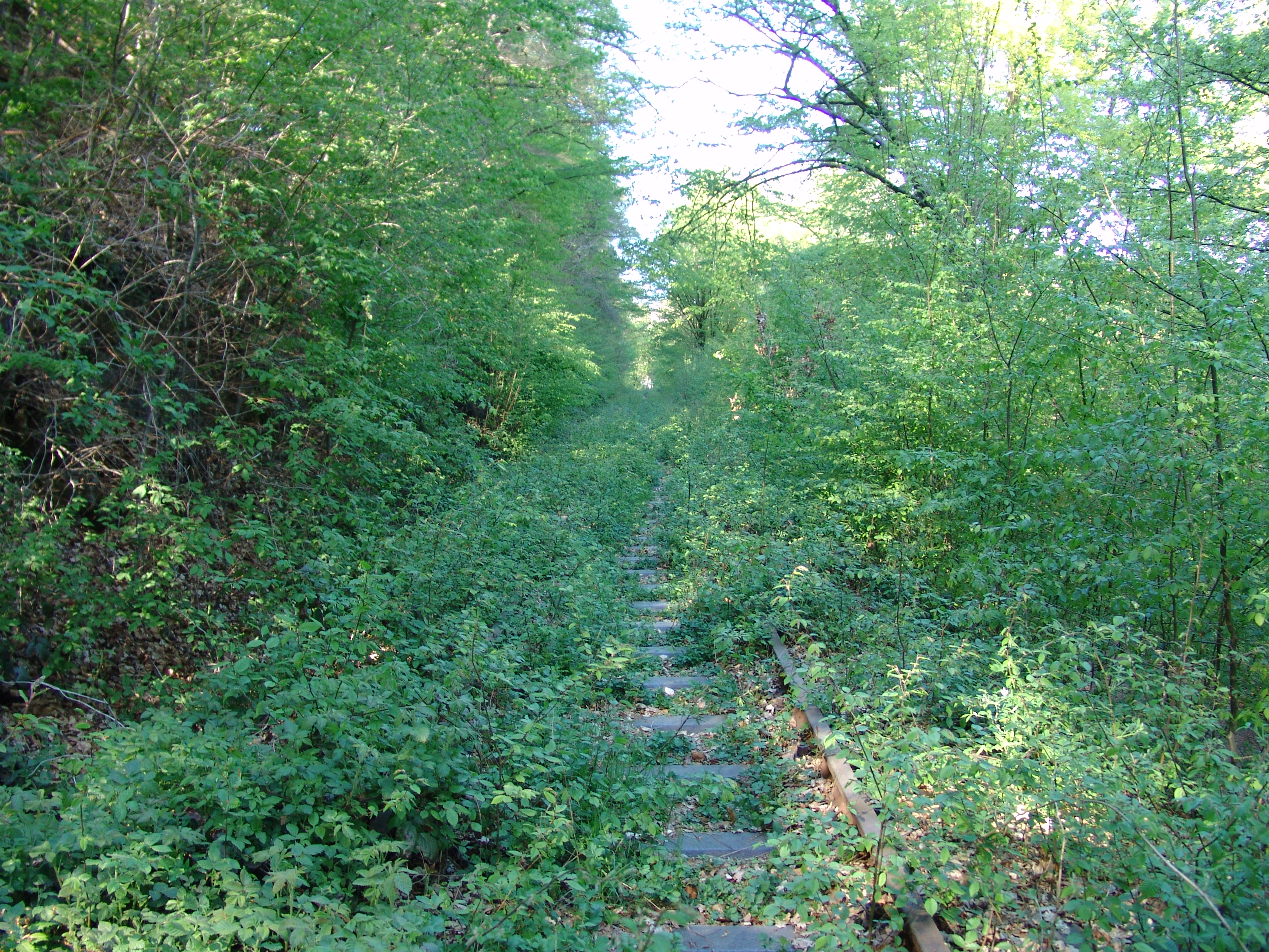 DSC00055.JPG