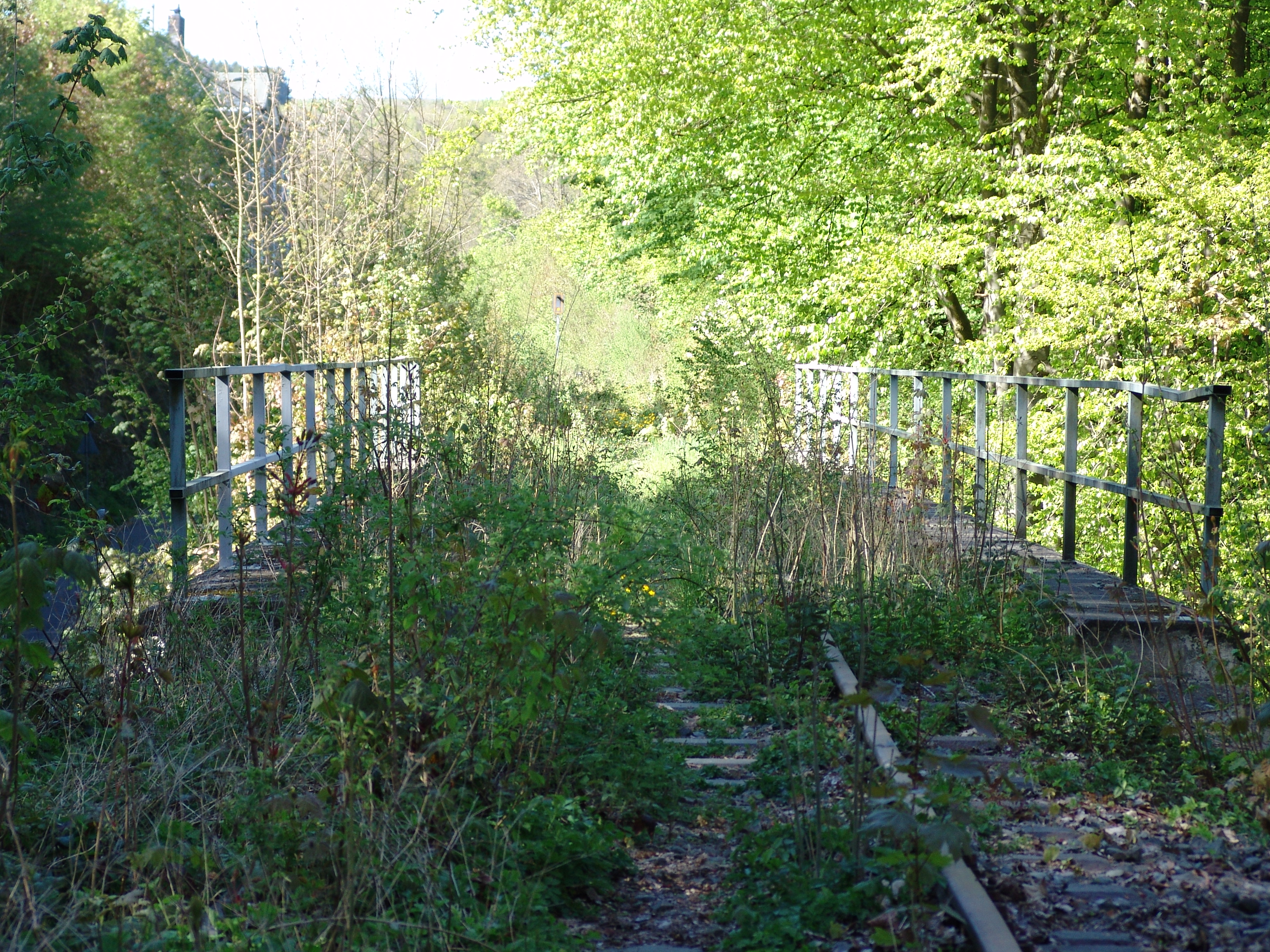 DSC00056.JPG