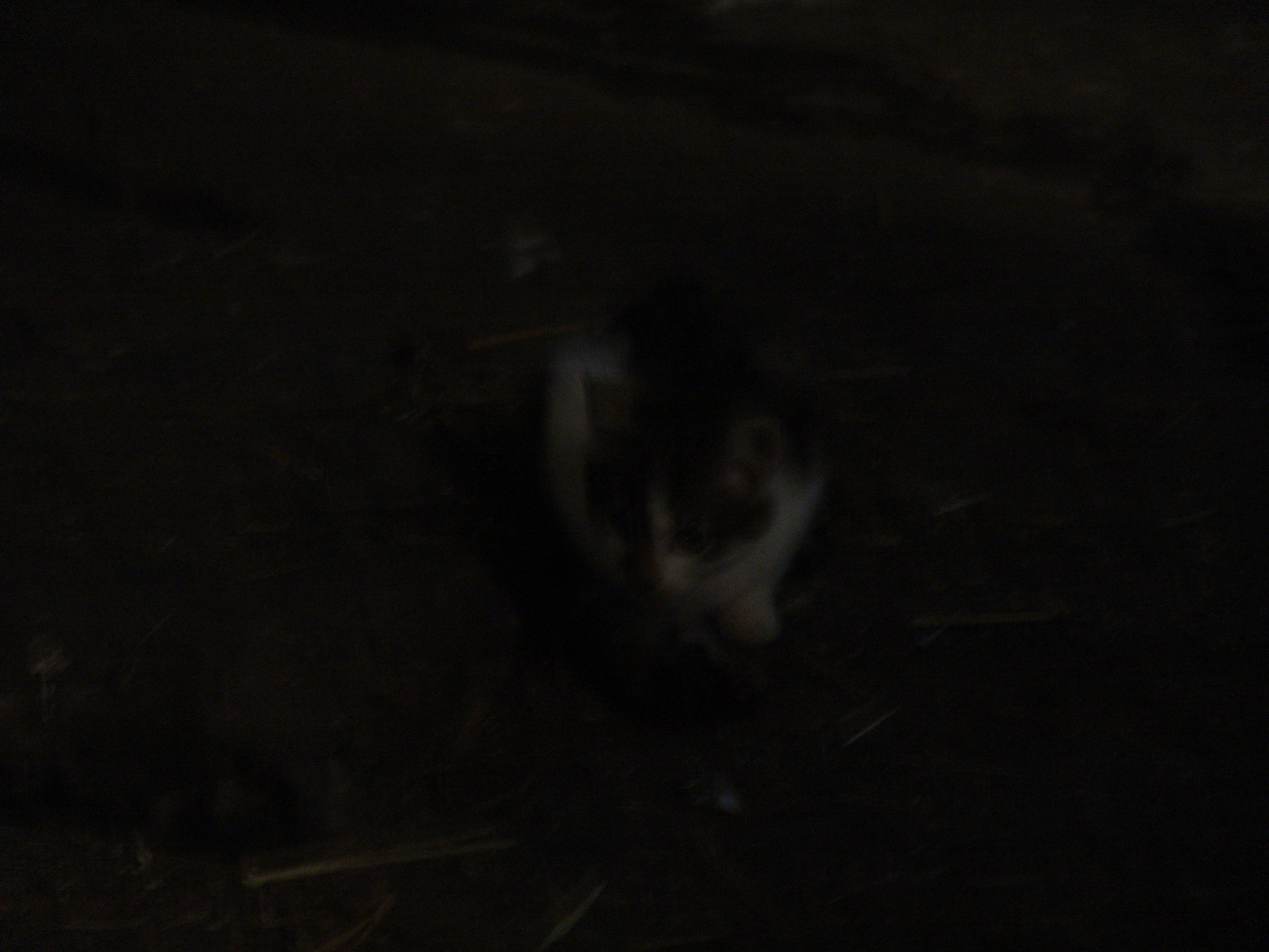 DSC00022.JPG