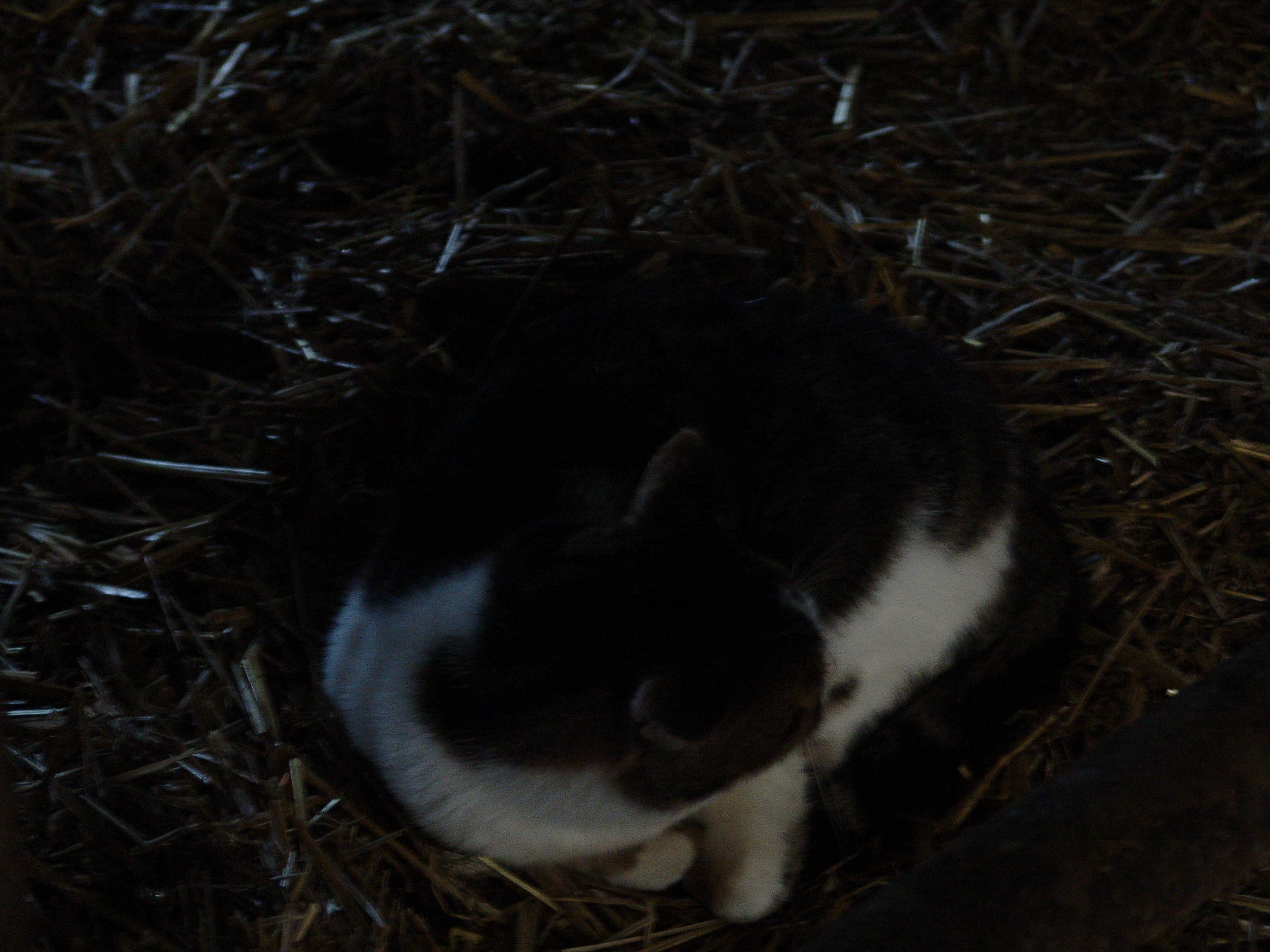 DSC00030.JPG