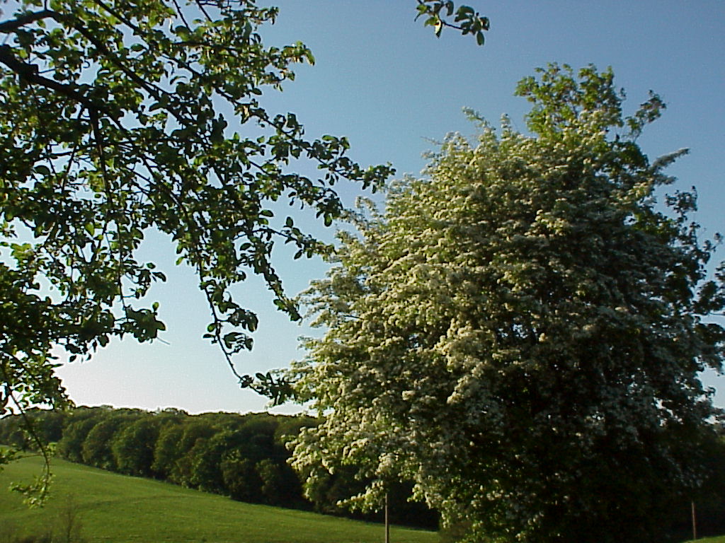 MVC-024X.JPG