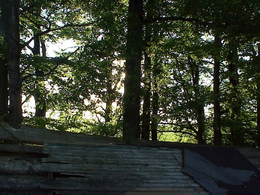 MVC-037X.JPG