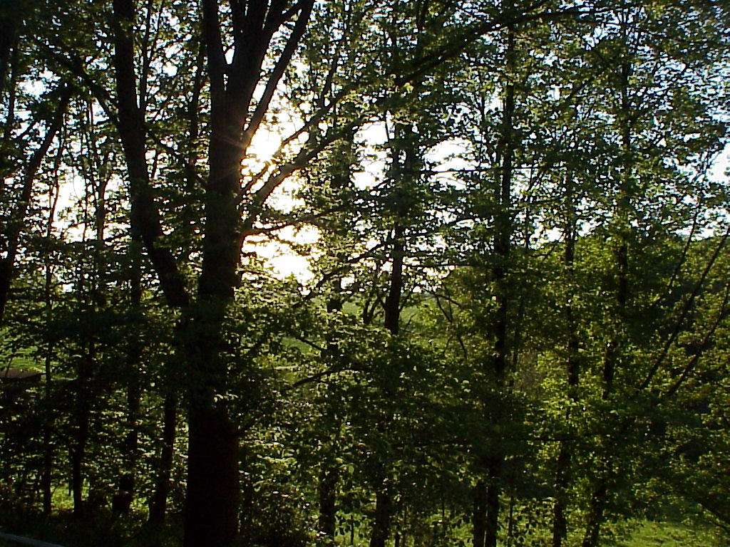 MVC-039X.JPG