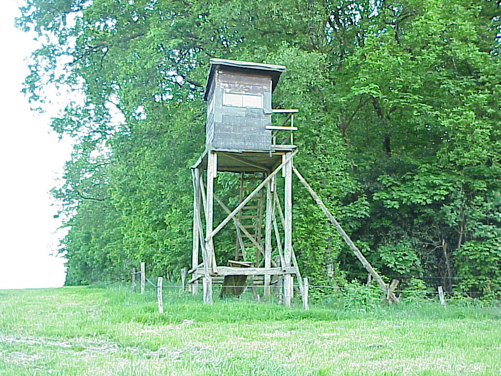 MVC-044X.JPG
