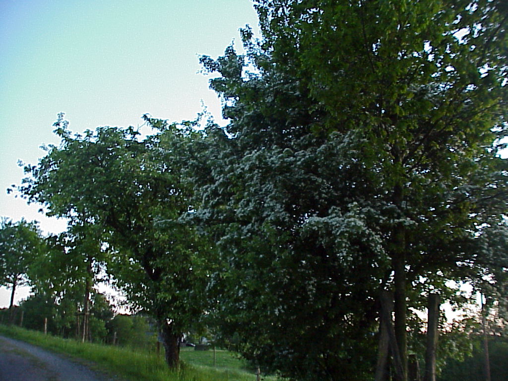MVC-099X.JPG