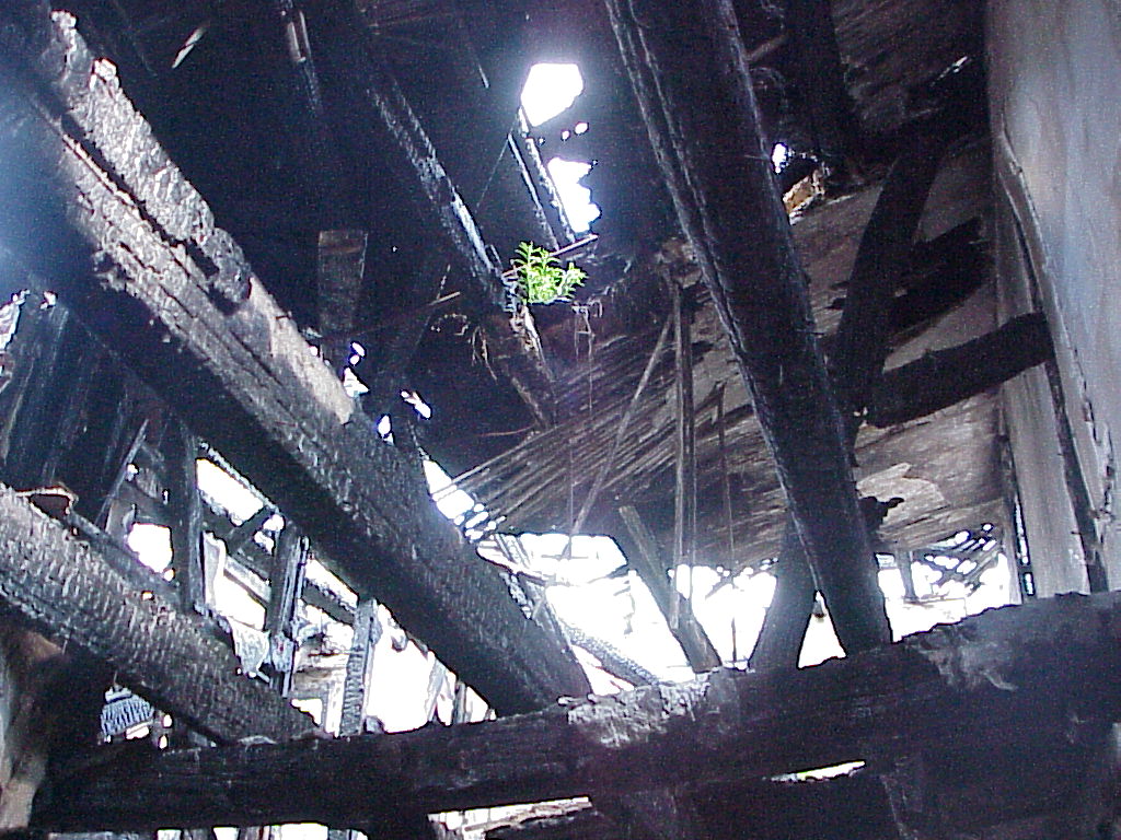 DSC00118.JPG