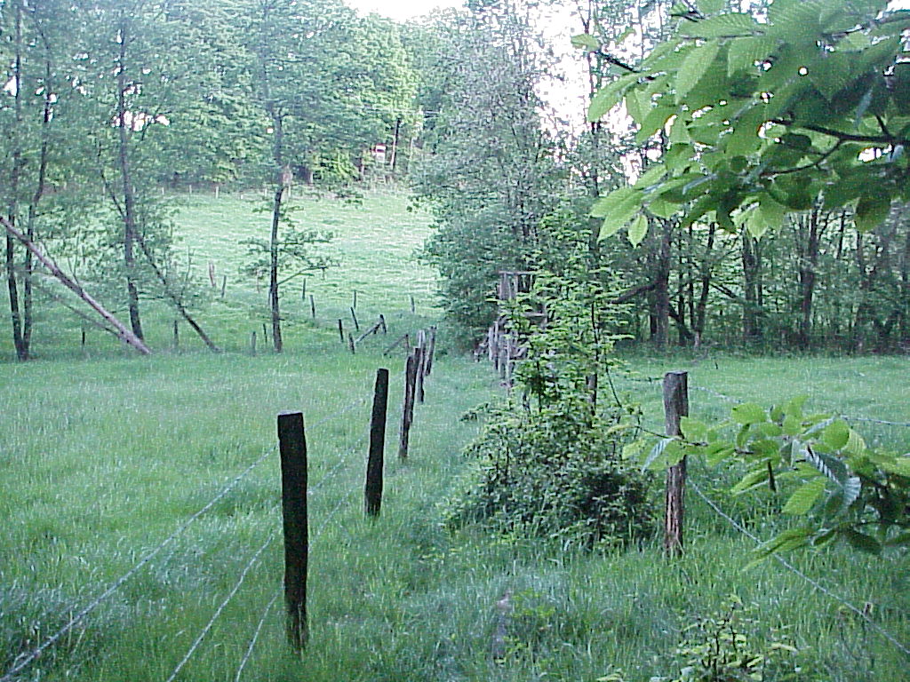 MVC-096X.JPG