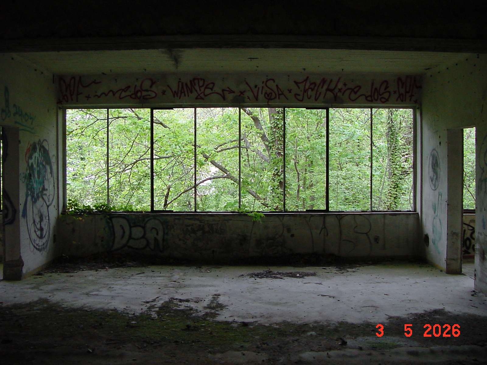 DSC00282.JPG