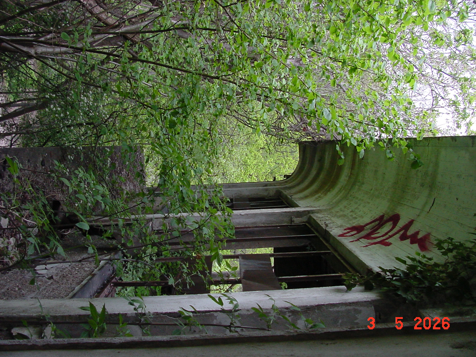 DSC00285.JPG