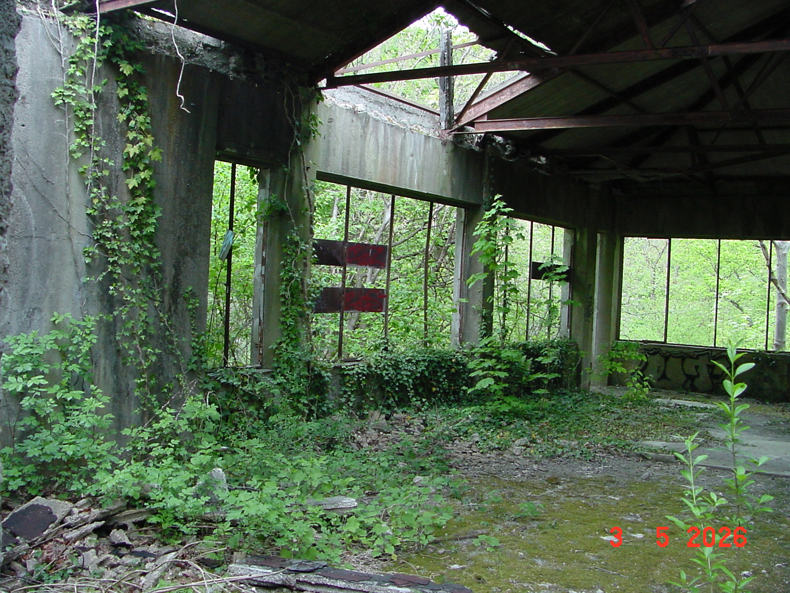 DSC00286.JPG