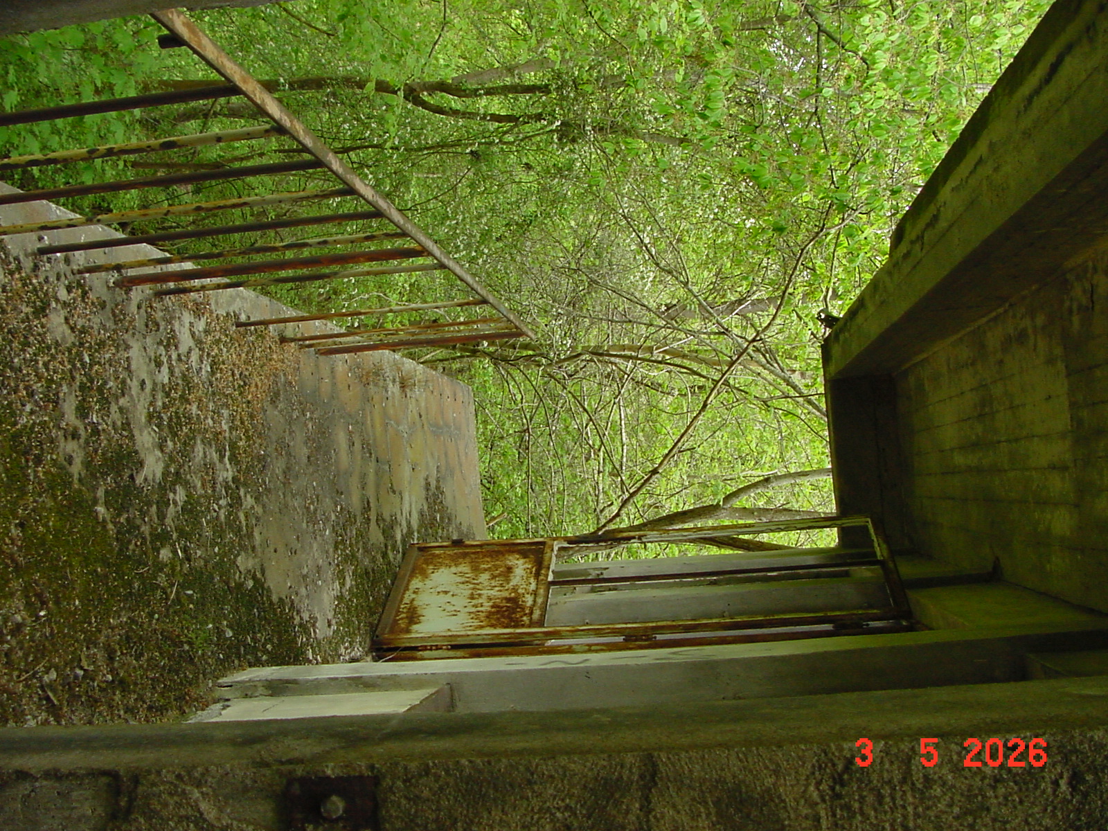 DSC00289.JPG