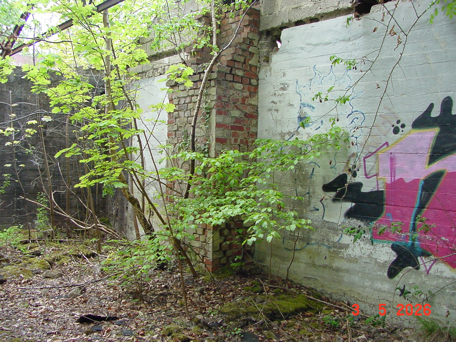 DSC00291.JPG