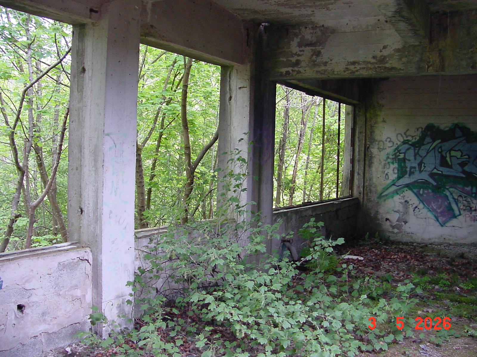 DSC00294.JPG