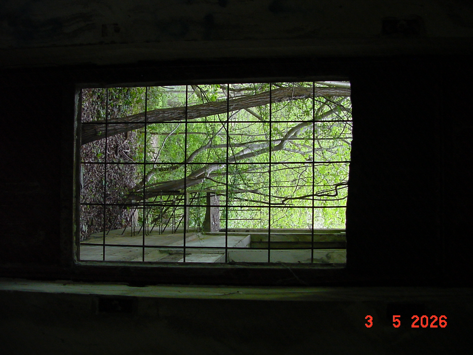 DSC00299.JPG