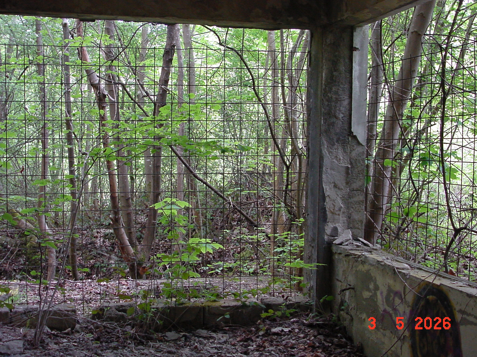 DSC00308.JPG