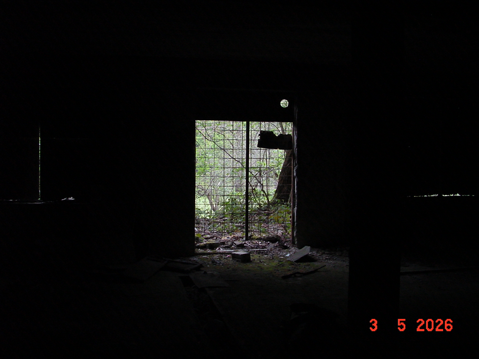 DSC00310.JPG