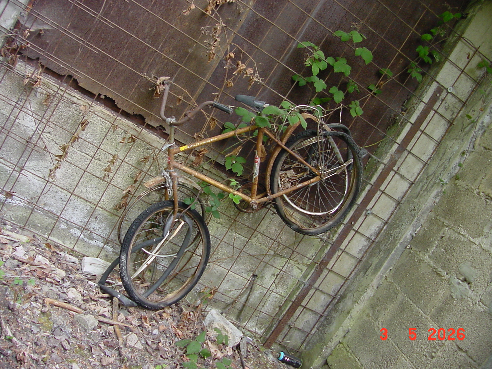DSC00316.JPG