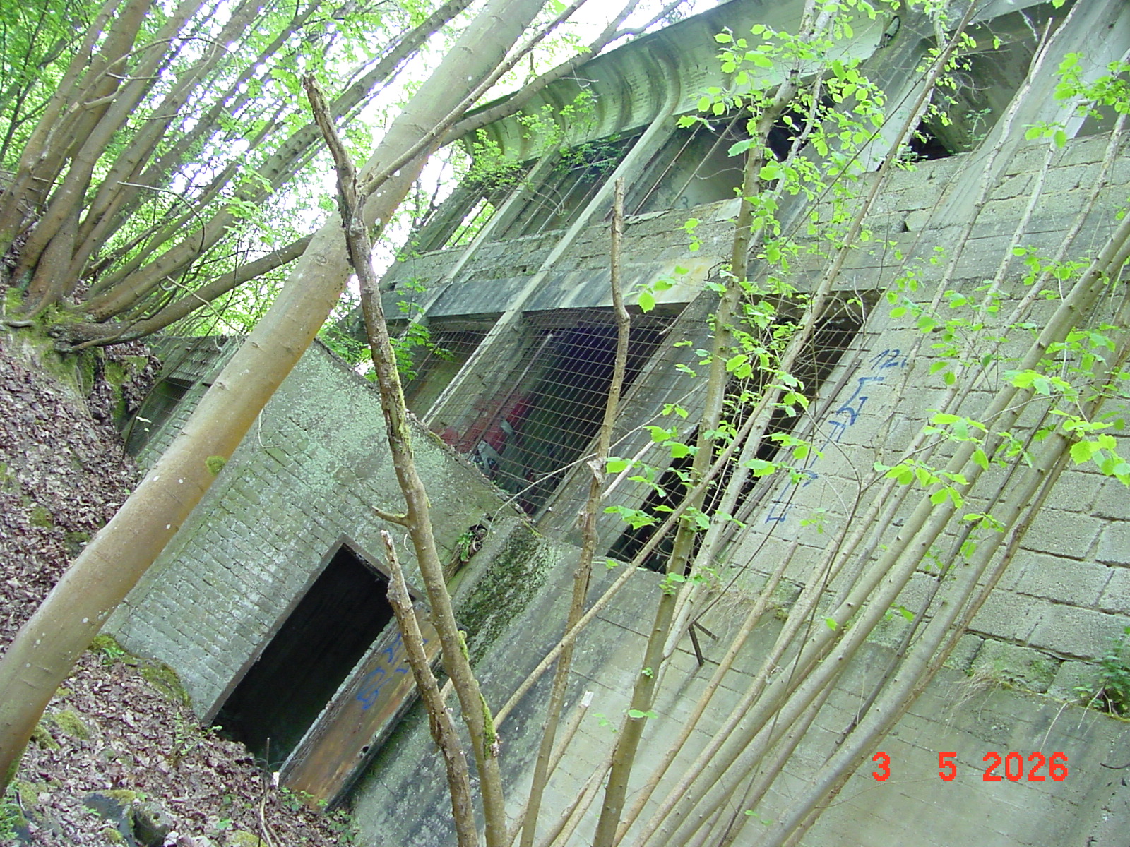 DSC00318.JPG