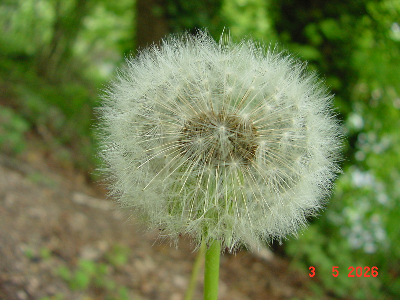 DSC00322.JPG