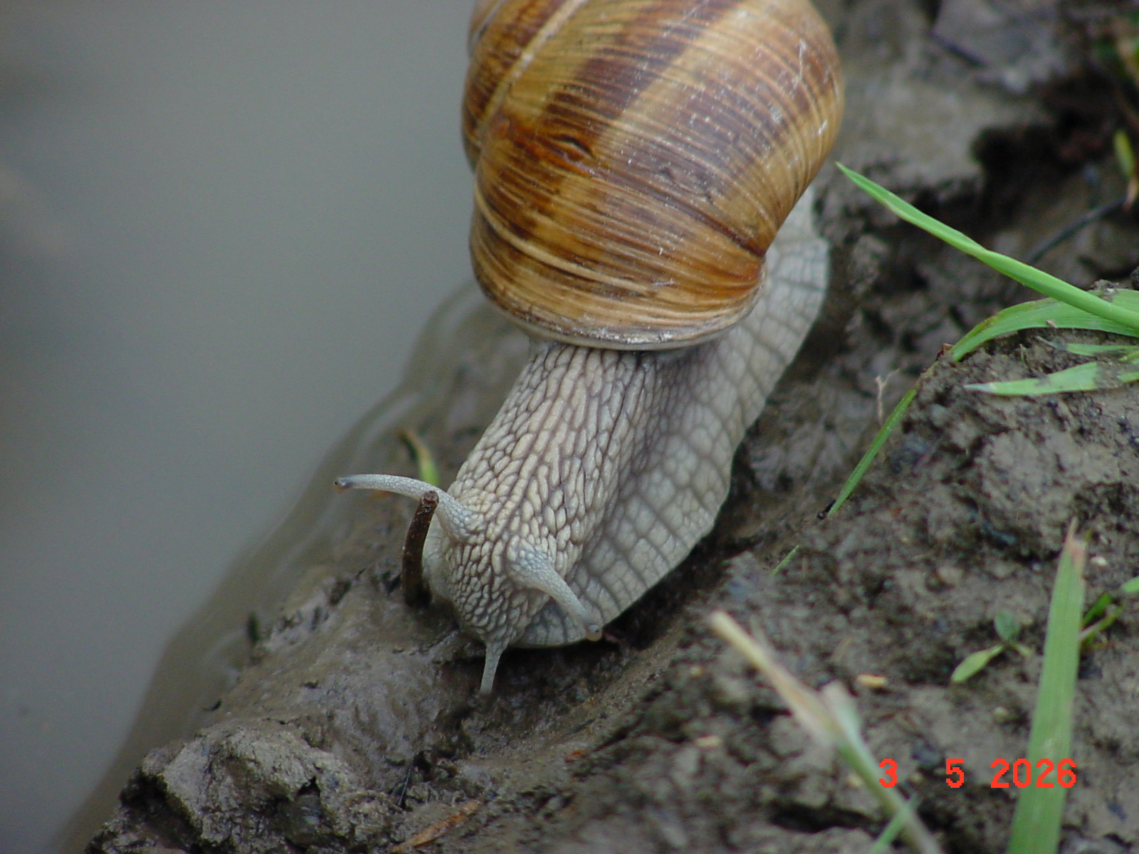 DSC00342.JPG