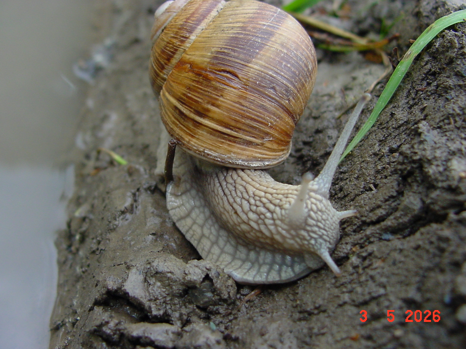DSC00344.JPG