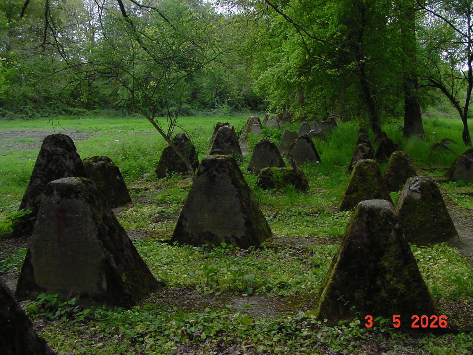 DSC00353.JPG