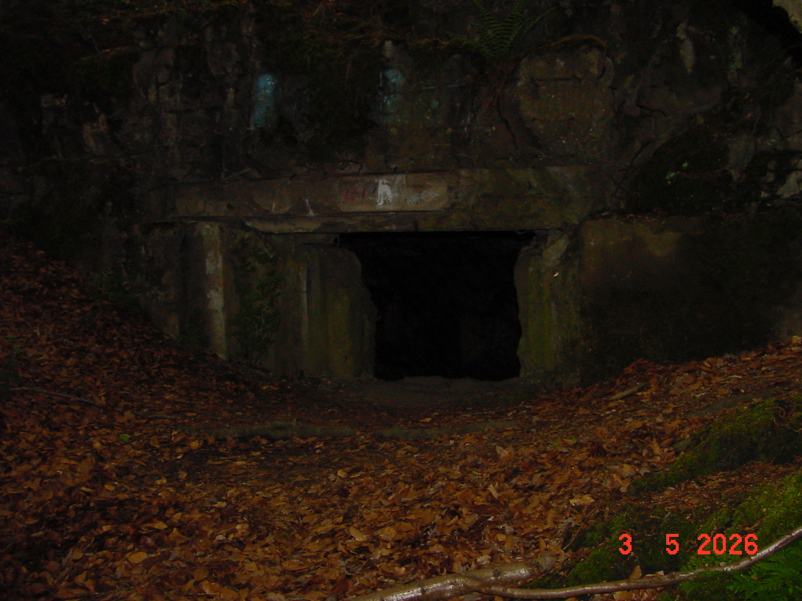 DSC00367.JPG