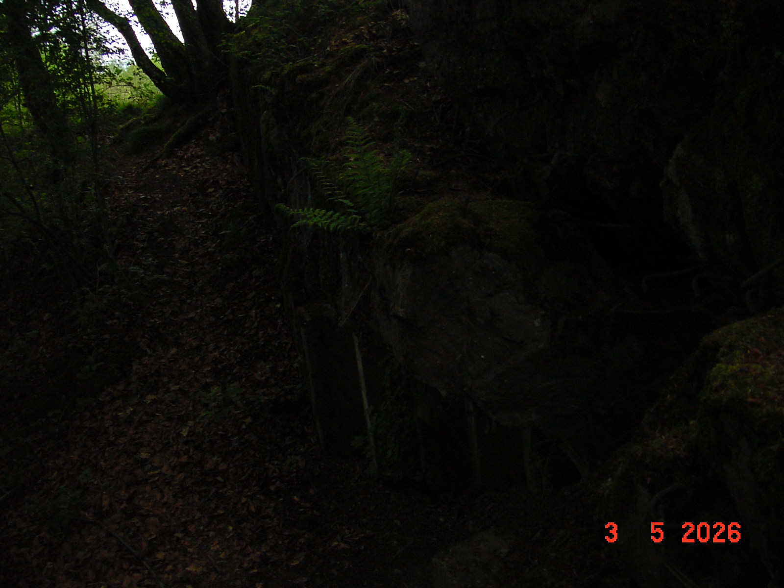 DSC00369.JPG