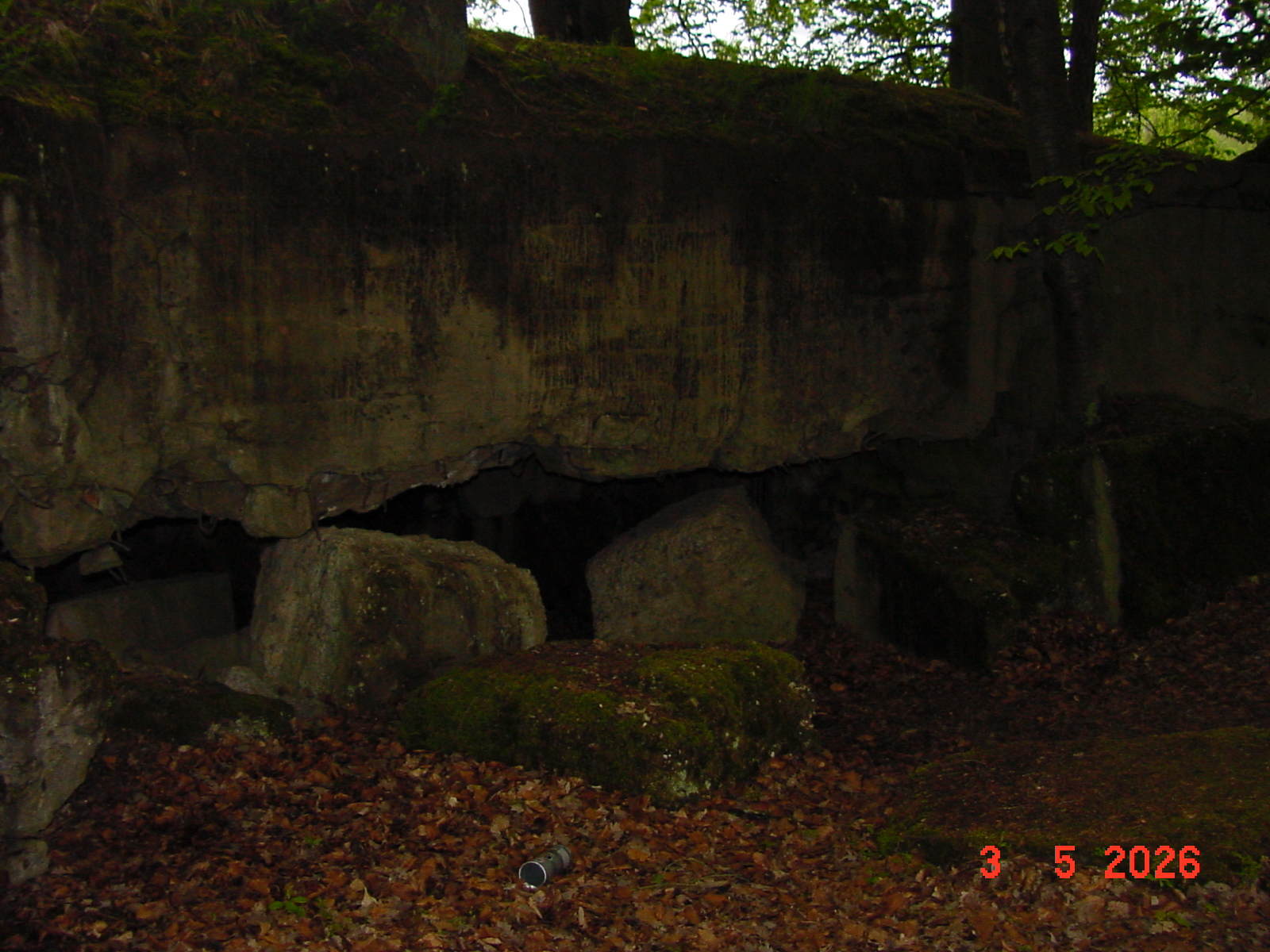 DSC00371.JPG