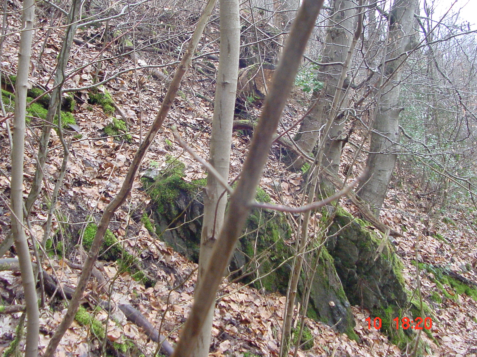 DSC00059.JPG