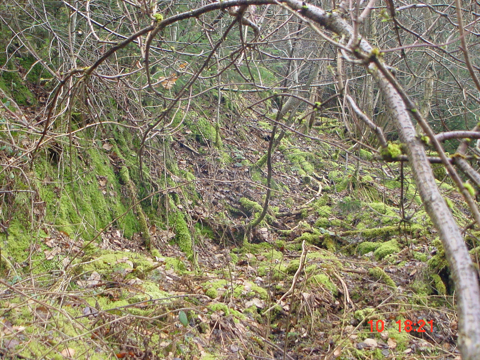 DSC00060.JPG