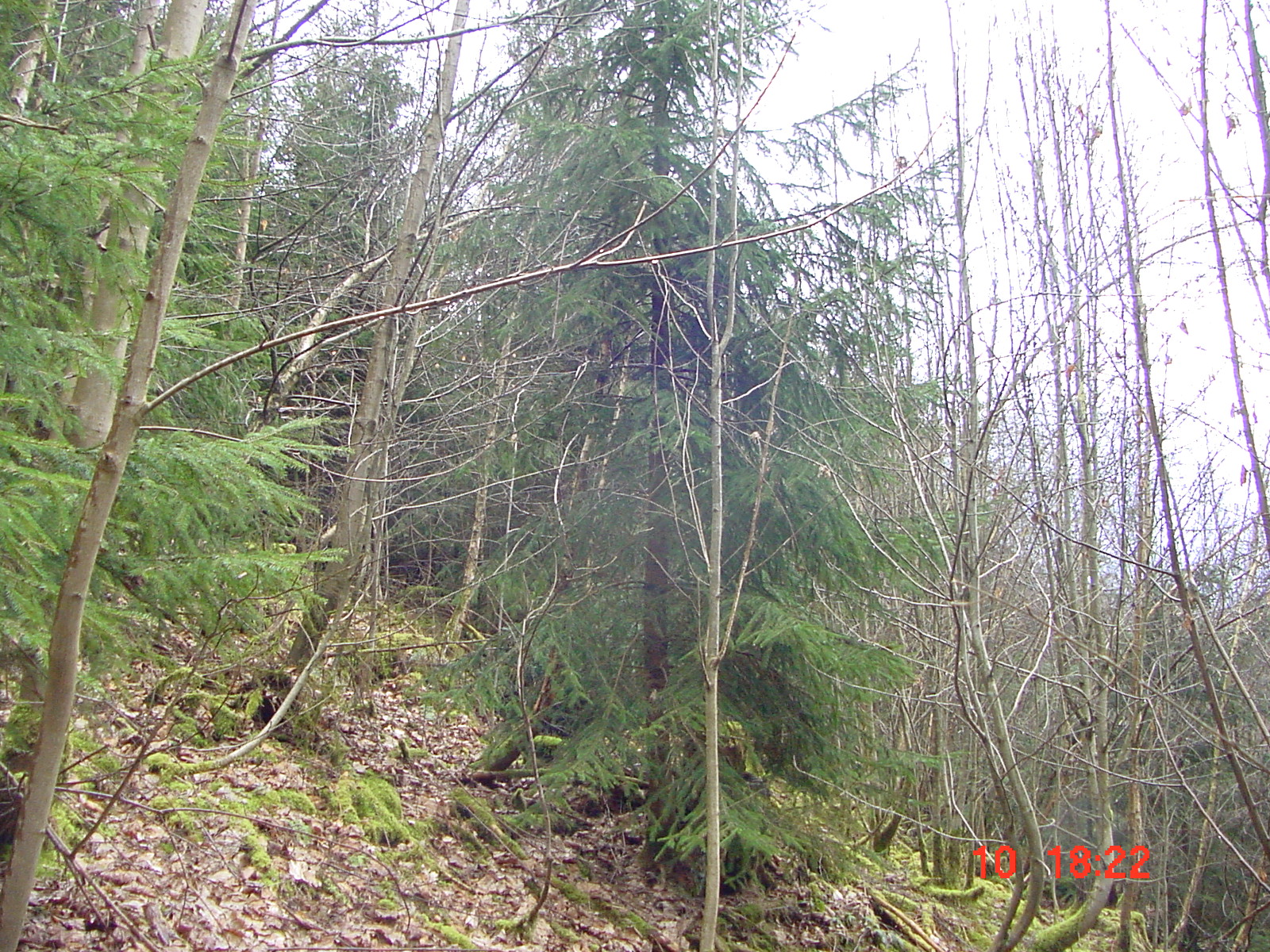 DSC00063.JPG