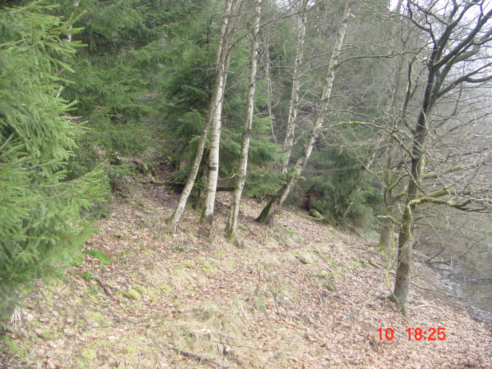 DSC00066.JPG