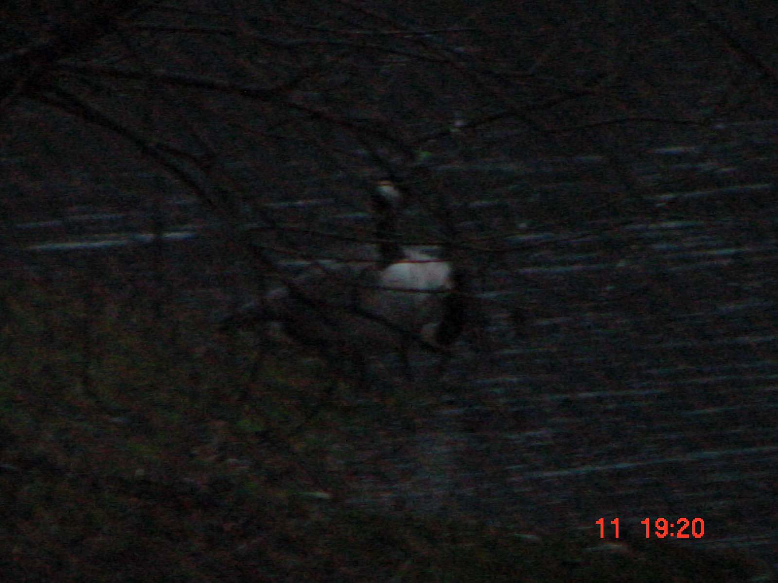DSC00073.JPG